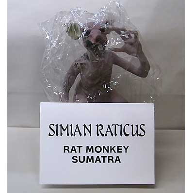 MEGA MADE DEAD ALIVE "SIMIAN RATICUS" RAT MONKEY SUMATRA 10インチ REPLICA